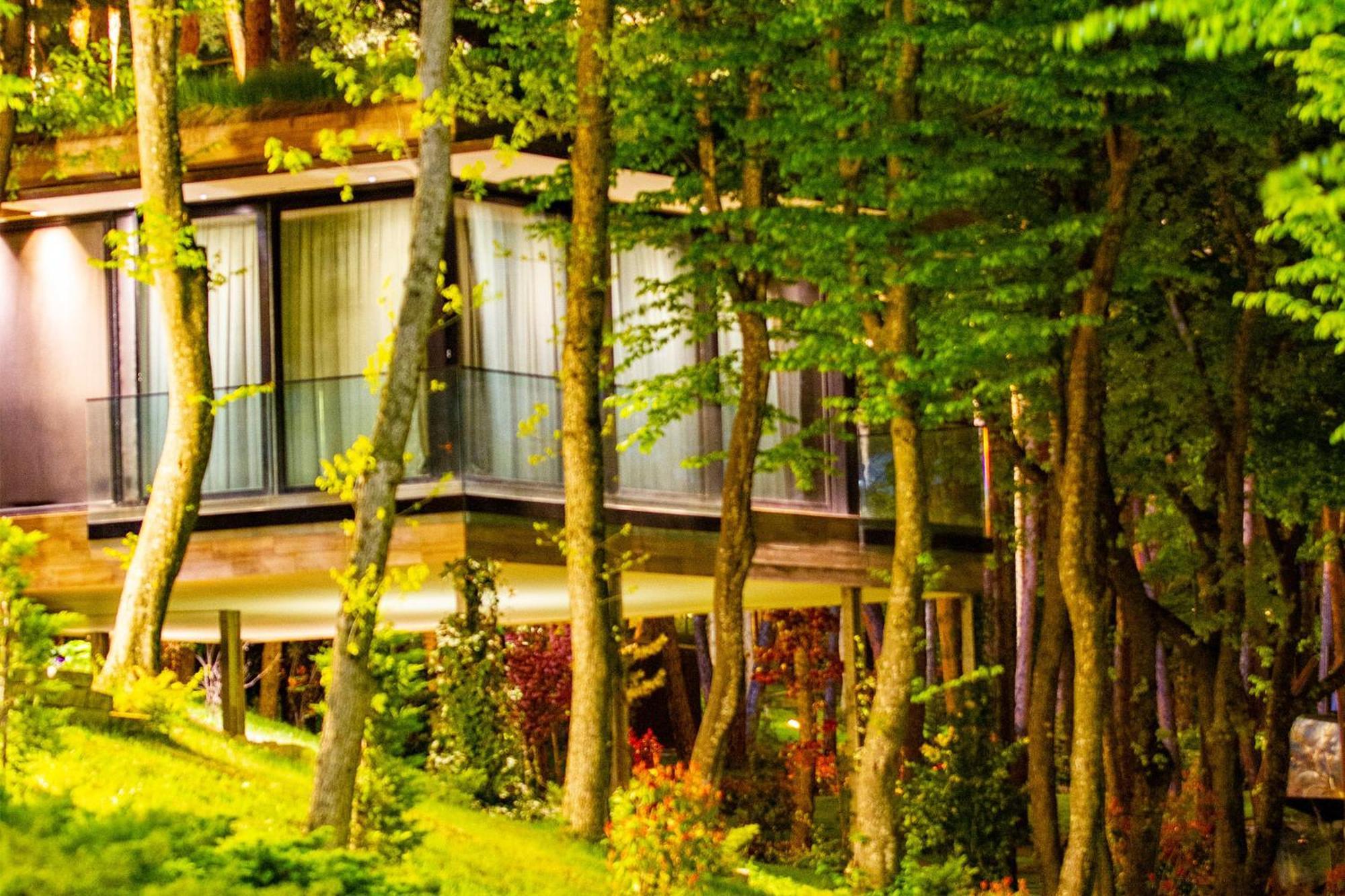 Bioli Wellness 5* Kojori