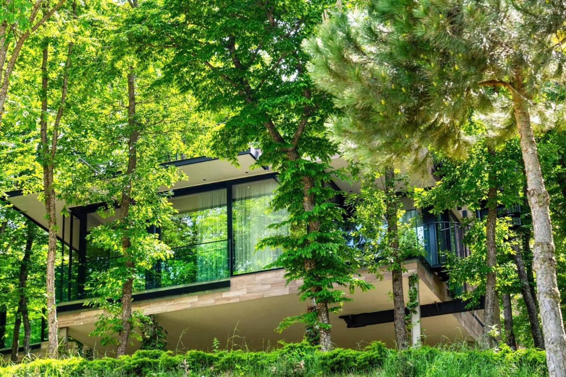 Bioli Wellness 5* Kojori